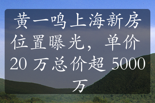 黄一鸣上海新房位置曝光，单价 20 万总价超 5000 万