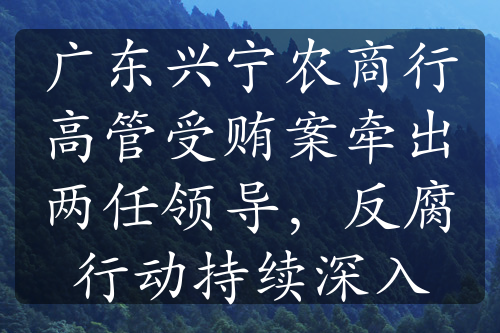 广东兴宁农商行高管受贿案牵出两任领导，反腐行动持续深入