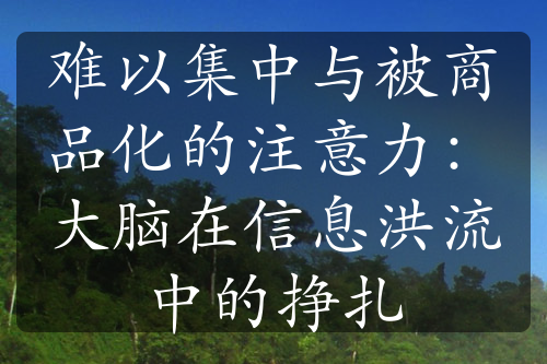 难以集中与被商品化的注意力：大脑在信息洪流中的挣扎