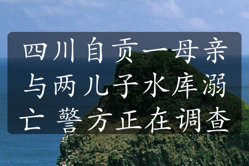 四川自贡一母亲与两儿子水库溺亡 警方正在调查