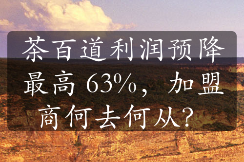 茶百道利润预降最高 63%，加盟商何去何从？