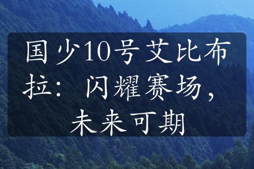 国少10号艾比布拉：闪耀赛场，未来可期