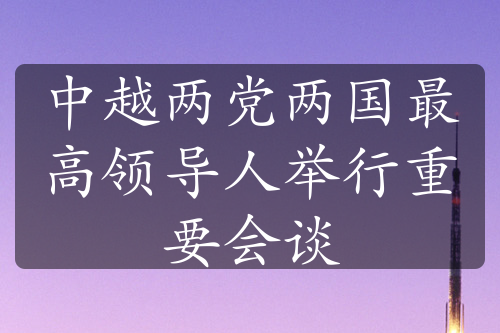 中越两党两国最高领导人举行重要会谈