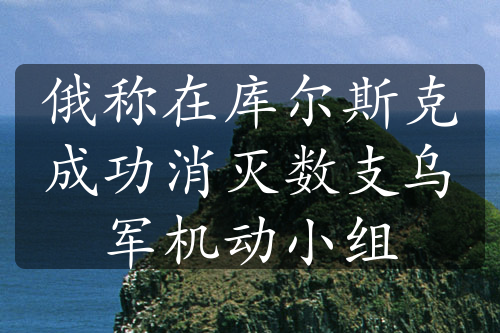 俄称在库尔斯克成功消灭数支乌军机动小组