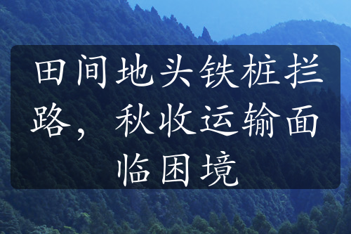 田间地头铁桩拦路，秋收运输面临困境