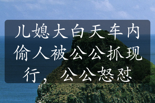 儿媳大白天车内偷人被公公抓现行，公公怒怼