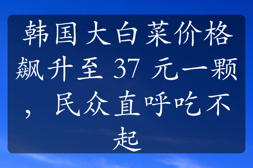 韩国大白菜价格飙升至 37 元一颗，民众直呼吃不起