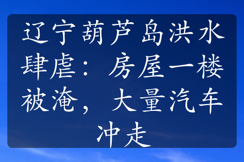 辽宁葫芦岛洪水肆虐：房屋一楼被淹，大量汽车冲走