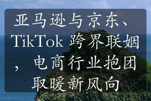 亚马逊与京东、TikTok 跨界联姻，电商行业抱团取暖新风向