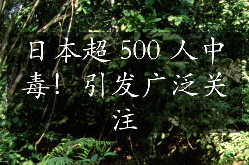 日本超 500 人中毒！引发广泛关注