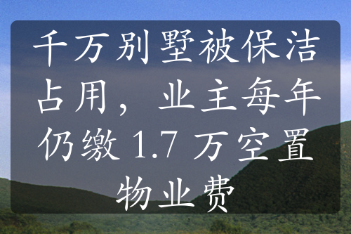 千万别墅被保洁占用，业主每年仍缴 1.7 万空置物业费