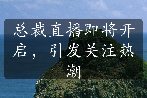 总裁直播即将开启，引发关注热潮