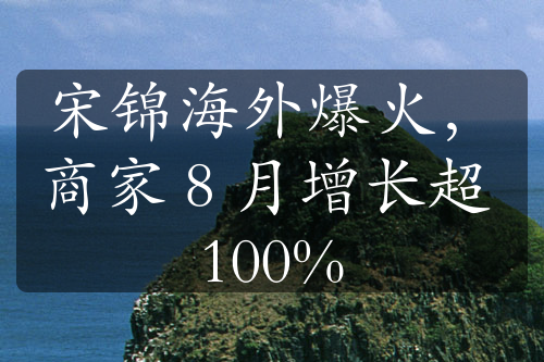 宋锦海外爆火，商家 8 月增长超 100%