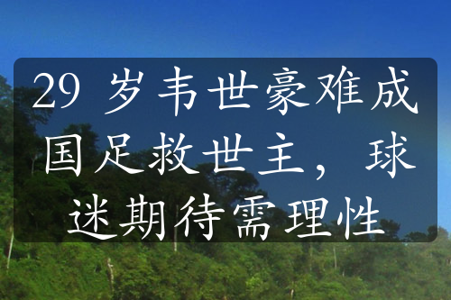 29 岁韦世豪难成国足救世主，球迷期待需理性