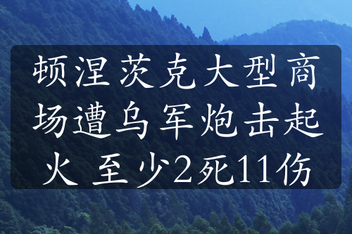 顿涅茨克大型商场遭乌军炮击起火 至少2死11伤