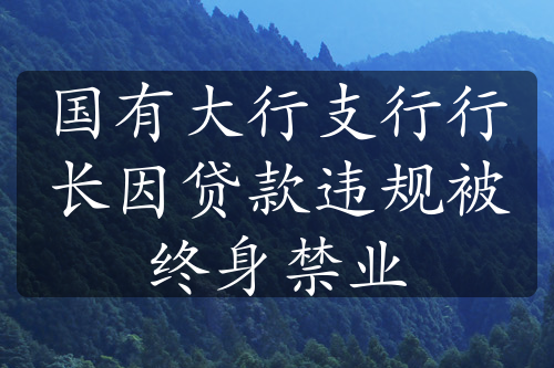 国有大行支行行长因贷款违规被终身禁业