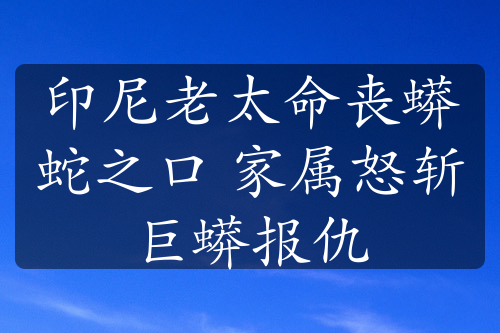 印尼老太命丧蟒蛇之口 家属怒斩巨蟒报仇