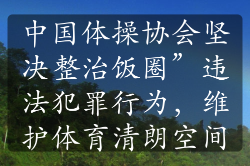 中国体操协会坚决整治饭圈”违法犯罪行为，维护体育清朗空间