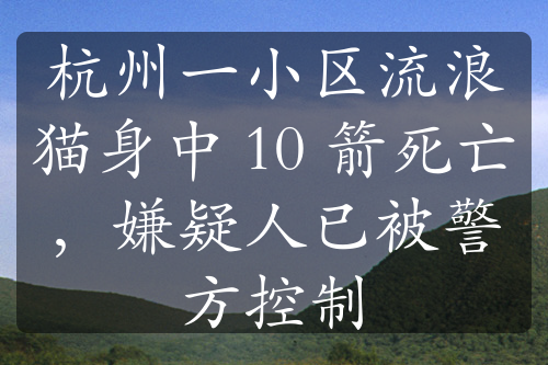 杭州一小区流浪猫身中 10 箭死亡，嫌疑人已被警方控制