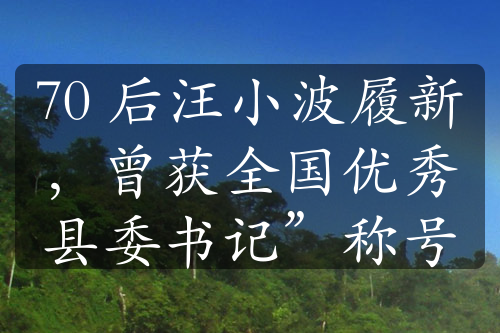 70 后汪小波履新，曾获全国优秀县委书记”称号