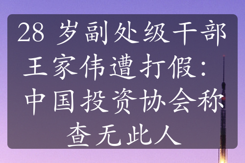 28 岁副处级干部王家伟遭打假：中国投资协会称查无此人