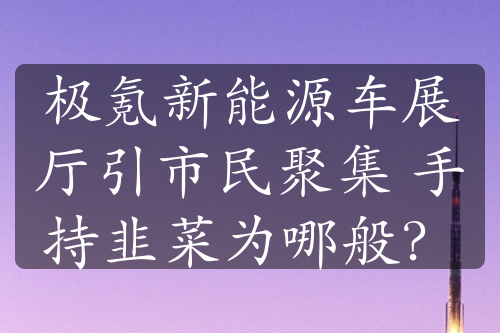 极氪新能源车展厅引市民聚集 手持韭菜为哪般？