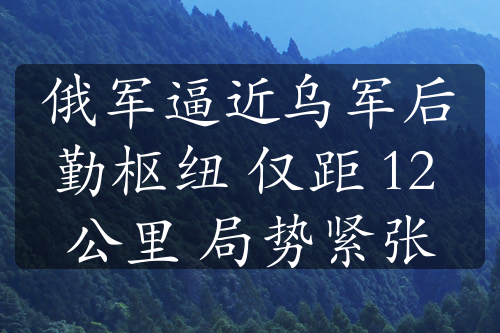 俄军逼近乌军后勤枢纽 仅距 12 公里 局势紧张