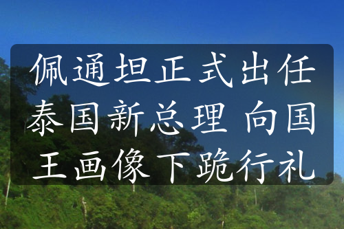 佩通坦正式出任泰国新总理 向国王画像下跪行礼